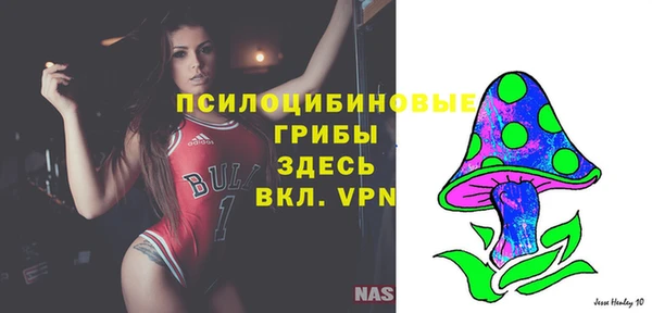 ешки Белая Холуница